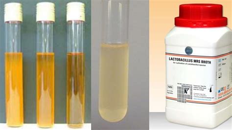 teraman agar cepat cair itemku ml Profesional 84 Ringan image 1